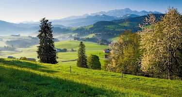Appenzellerland