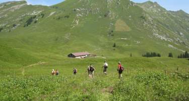 Alpe Obere