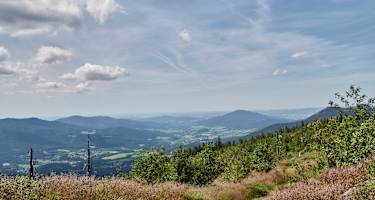 Aussicht Zwercheck