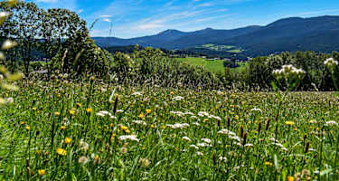 Aussicht auf die acht Tausender