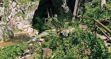 Einstieg in die Bärenschützklamm.