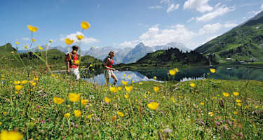 Bergblumenpfad