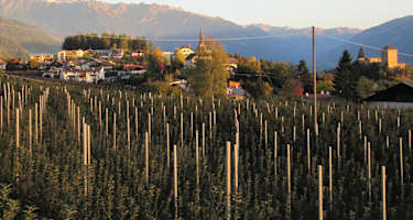 Blick auf Völlan