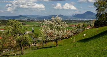 Blick vom Högl ins Salzburger Land