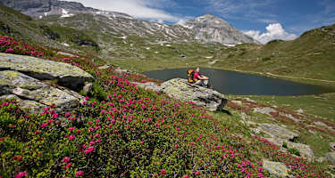 Blick zurück auf den Giglachsee