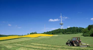 Bungsberg