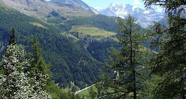 Chapfwald - Minihöhenweg