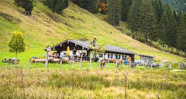 Die Dandl Alm