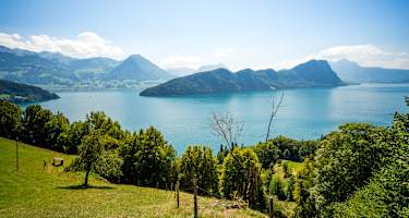 Sicht auf den Vierwaldstättersee mit Bürgenstock auf der Wanderung entlang des Waldstätterwegs, Etappe 1 Brunnen-Vitznau