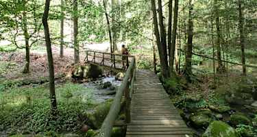 Höllbachtal