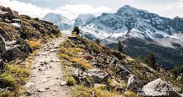 Am Weg zur Düsseldorfer Hütte