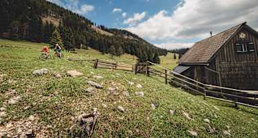 Auf der Durriegelalm im Naturpark Mürzer Oberland