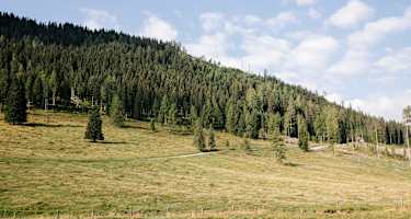 Viel Gelände rund um die Egger Alm