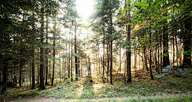 Wanderung zur Enderlinhütte