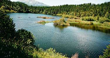 Erlaufsee