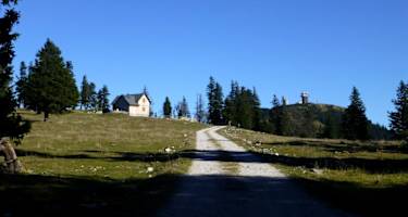 Auf der Brachalm