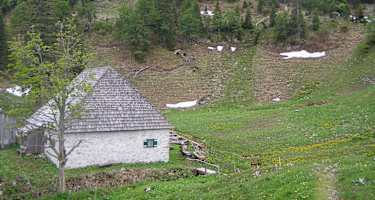 Herrenalm