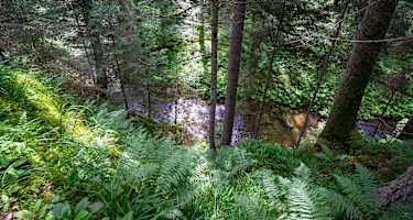 Blick auf die Rötenbachschlucht