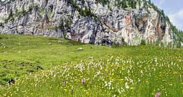 Gipfeltour zur Roten Wand