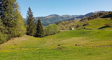 Raus aus der Nagelfluhkette Richtung Bregenzer Wald