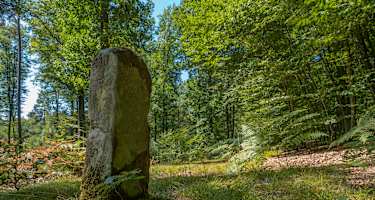Grenzweg Eppenbrunn