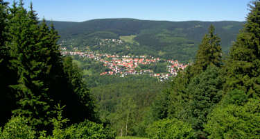 Großer Beerberg