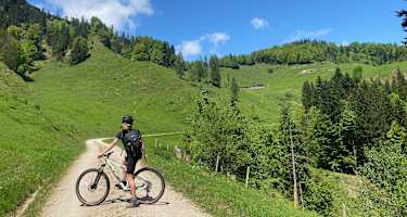 Am Weg zur Haraualm