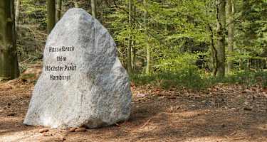 Hasselbrack