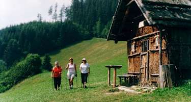 Nordic-Walking