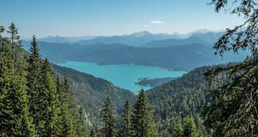 Im unteren Teil des Anstieges zum Heimgarten genießen wir schöne Tiefblicke auf den Walchensee