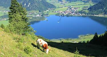 Vom Heuberg Blick auf den Walchsee