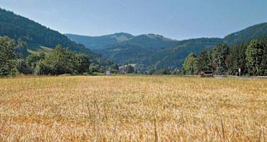 Himmelreich