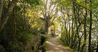 Mühle oberhalb von Schlanders, Waalweg "Zaalwaal", Südtirol