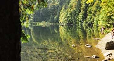 Der Feldsee