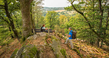Auf der Hubertusrunde