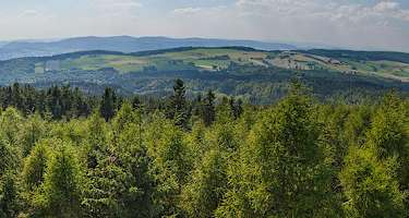 Ausblick vom Raabeturm