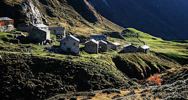 Die Jagdhausalm