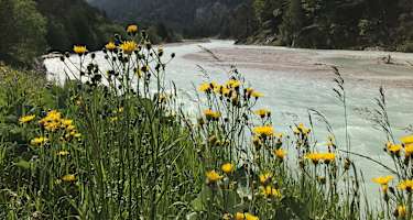Isar bei Scharnitz