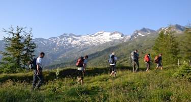 Blick zum Keeskogel oberhalb der Aschlreitalm