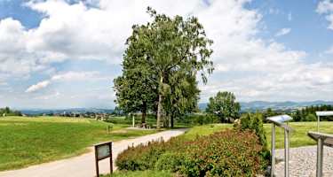 Panoramablick König-Max-Höhe, Kellberg