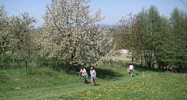 Kirschblütenweg
