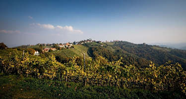 Kitzeck im Sausal