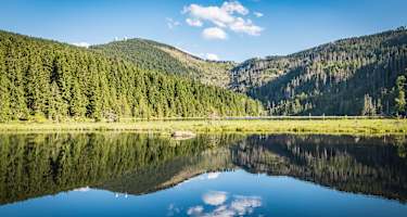 Kleiner Arbersee am Abend
