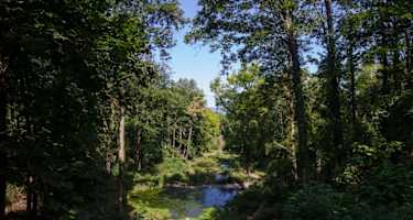 Blick auf die Sieben Weiher