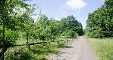Blick am Wegesrand