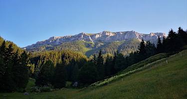 Morgenstimmung auf der Kogleralm