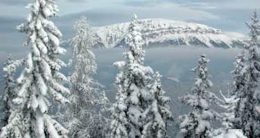 Blick hinüber zur Rax vom Kreuzschober