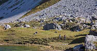 Partnunsee