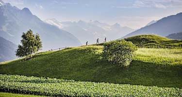 Läufer mit Gletscherblick zwischen Patsch und Igls