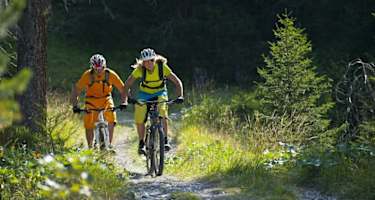 Die Tour führt immer wieder über offene Wiesen und Wälder.